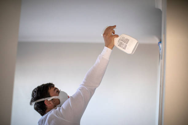 Best Preventive Mold Services in Broussard, LA
